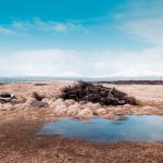 Aida + Tim | Hochzeitsfotografen am Bodensee Josefin & Freddy | Island  - Hochzeitsfotografie von Aida und Tim