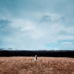 Aida + Tim | Hochzeitsfotografen am Bodensee Josefin & Freddy | Island  - Hochzeitsfotografie von Aida und Tim