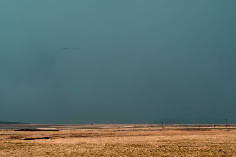 Aida + Tim | Hochzeitsfotografen am Bodensee FKN_0137  - Hochzeitsfotografie von Aida und Tim