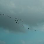 Aida + Tim | Hochzeitsfotografen am Bodensee Josefin & Freddy | Island  - Hochzeitsfotografie von Aida und Tim