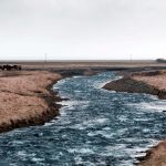 Aida + Tim | Hochzeitsfotografen am Bodensee Josefin & Freddy | Island  - Hochzeitsfotografie von Aida und Tim
