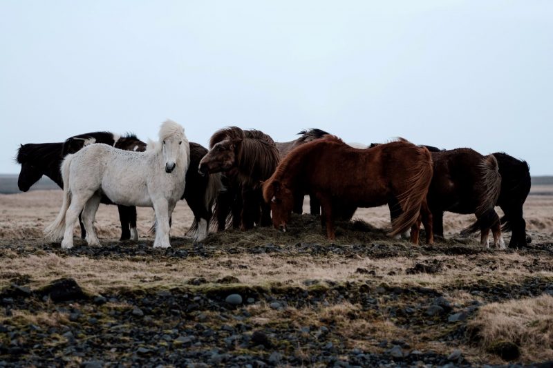 Aida + Tim | Hochzeitsfotografen am Bodensee FKN_0225  - Hochzeitsfotografie von Aida und Tim