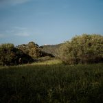 Aida + Tim | Hochzeitsfotografen am Bodensee Jenny & Alessio | Korsika, Frankreich  - Hochzeitsfotografie von Aida und Tim