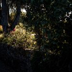 Aida + Tim | Hochzeitsfotografen am Bodensee Ginny & Matt | Sheffield, England  - Hochzeitsfotografie von Aida und Tim