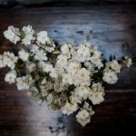 Aida + Tim | Hochzeitsfotografen am Bodensee Ginny & Matt | Sheffield, England  - Hochzeitsfotografie von Aida und Tim