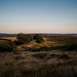 Aida + Tim | Hochzeitsfotografen am Bodensee Ginny & Matt | Sheffield, England  - Hochzeitsfotografie von Aida und Tim