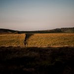 Aida + Tim | Hochzeitsfotografen am Bodensee Ginny & Matt | Sheffield, England  - Hochzeitsfotografie von Aida und Tim