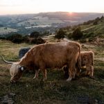 Aida + Tim | Hochzeitsfotografen am Bodensee Ginny & Matt | Sheffield, England  - Hochzeitsfotografie von Aida und Tim