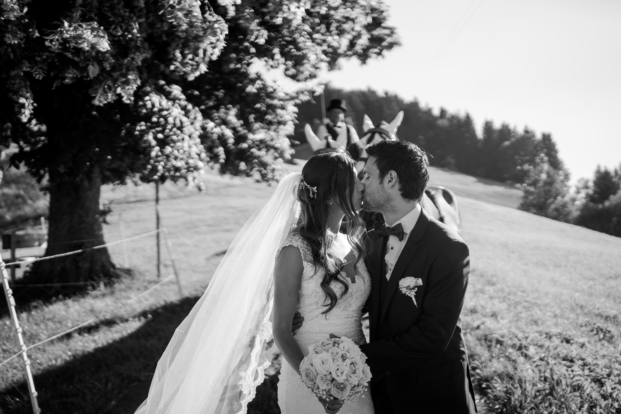 Aida + Tim | Hochzeitsfotografen am Bodensee Haldenhof Urnäsch, Schweiz  - Hochzeitsfotografie von Aida und Tim